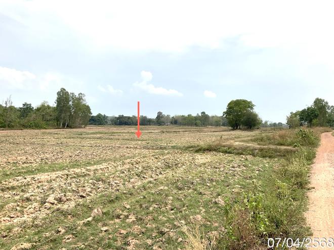 picture LAND for sale  Dong Chen Phu Kam Yao Phayao - 8/24