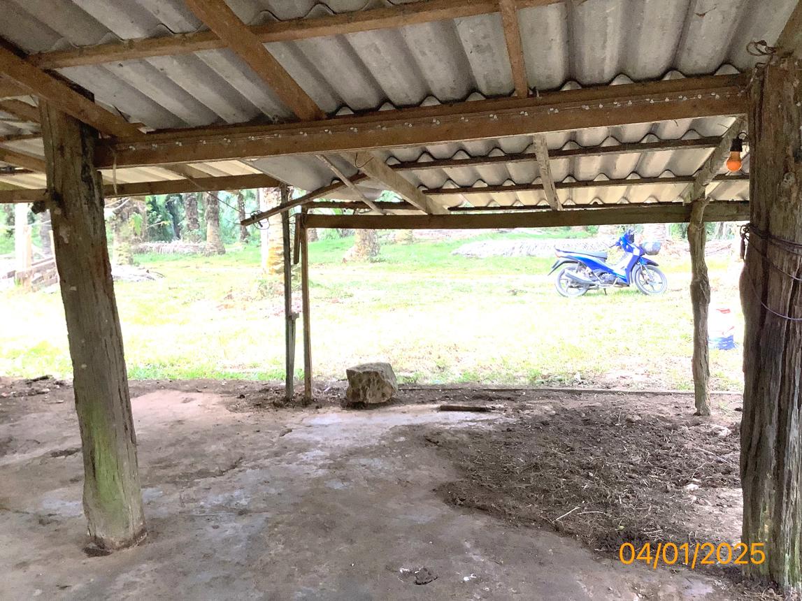 รูป บ้านเดี่ยว สำหรับขาย - วังมะปรางเหนือ วังวิเศษ ตรัง - รูปที่ 19/36