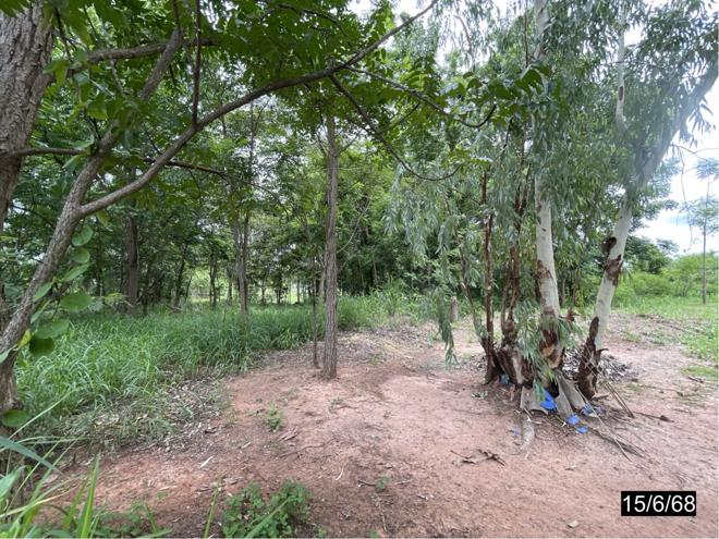 รูป ที่ดินว่างเปล่า สำหรับขาย - บ้านหว้า เมืองขอนแก่น ขอนแก่น - รูปที่ 8/24