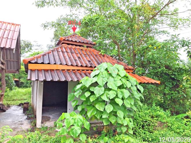 รูป บ้านเดี่ยว สำหรับขาย - วังมะปรางเหนือ วังวิเศษ ตรัง - รูปที่ 18/44