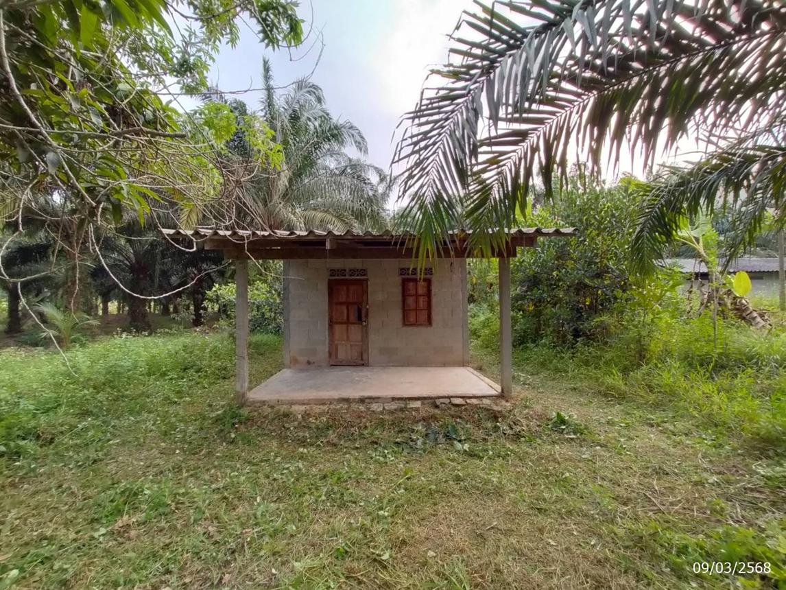 รูป บ้านเดี่ยว สำหรับขาย - เขาต่อ ปลายพระยา กระบี่ - รูปที่ 24/34