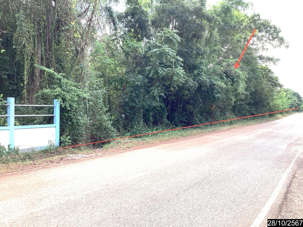 picture LAND for sale  Song Hong Muang Nong Khai Nongkai - 14/28