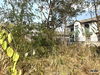 listing thumbnail image 11