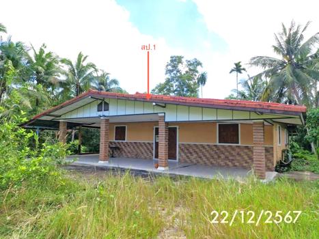 รูป บ้านเดี่ยว สำหรับขาย - นาตาล่วง เมืองตรัง ตรัง - รูปที่ 21/24