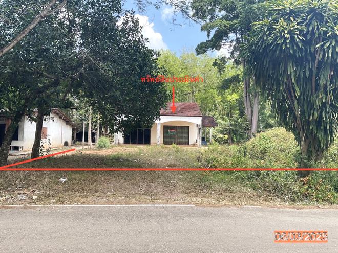 รูป บ้านเดี่ยว สำหรับขาย - บ้านนา ปะเหลียน ตรัง - รูปที่ 1/20