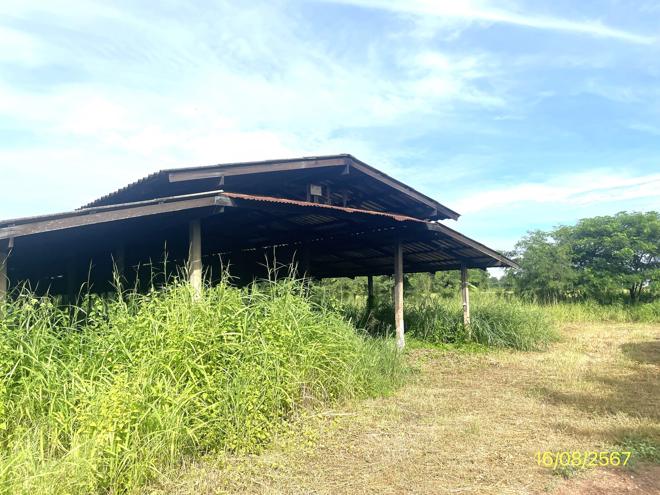 รูป บ้านเดี่ยว สำหรับขาย - มะต้อง พรหมพิราม พิษณุโลก - รูปที่ 11/44