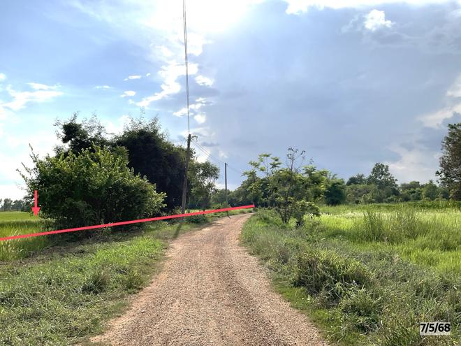 picture LAND for sale  Lup Muang Kalasin Kalasin - 5/22