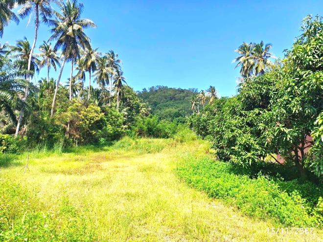 picture HOME for sale  Pak Nam Muang Chumphon Chumphon - 13/30