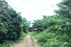 listing thumbnail image 39
