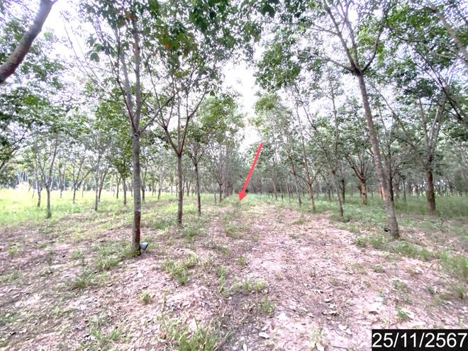รูป ที่ดินว่างเปล่า สำหรับขาย - ขอนยูง กุดจับ อุดรธานี - รูปที่ 4/24