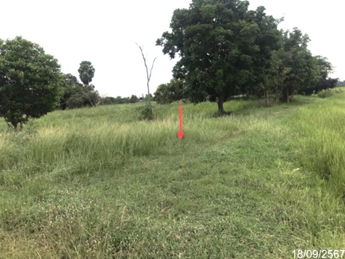 picture LAND for sale  Yo Kham Khuan Kaeo Yasothon - 16/20