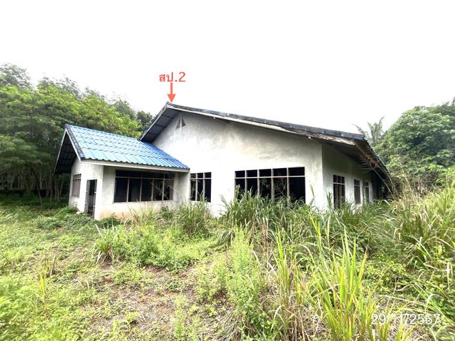 picture HOME for sale  Khunthale Muang Surat Thani Surat Thani - 9/44