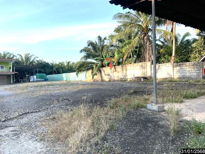 รูป บ้านเดี่ยว สำหรับขาย - วังมะปรางเหนือ วังวิเศษ ตรัง - รูปที่ 6/24