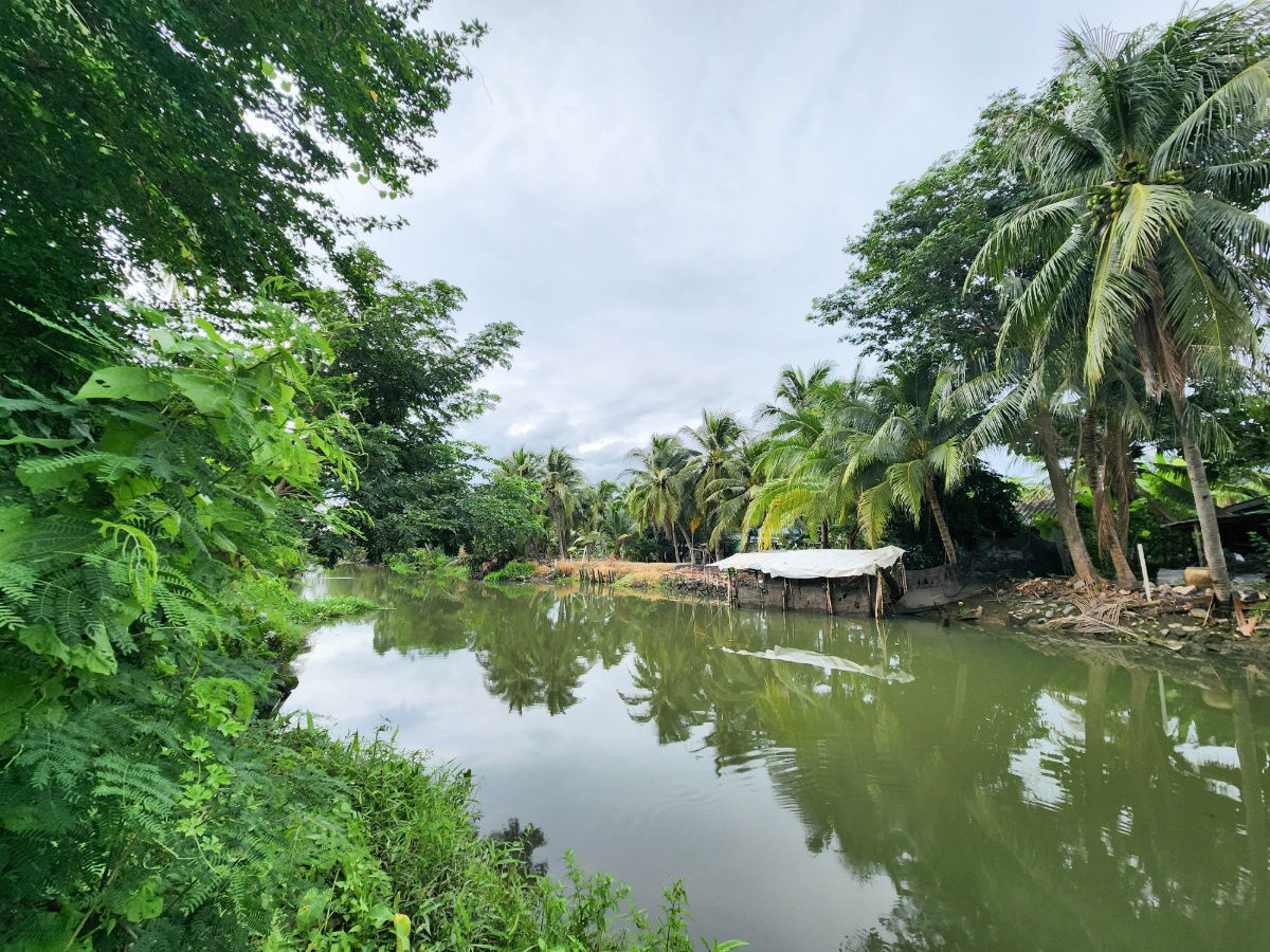 รูป ขายด่วน! ที่ดินพร้อมสวนมะพร้าวบ้านแพ้วกว่า 8 ไร่! ราคาดี ในหนองนกไข่ กระทุ่มแบน สมุทรสาคร ผังเมืองเขียวลาย หน้ากว้าง 80 เมตร ลึก 160 เมตร  - รูปที่ 9/17