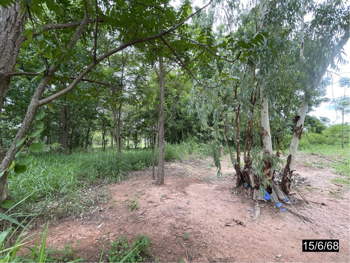 รูป ที่ดินว่างเปล่า สำหรับขาย - บ้านหว้า เมืองขอนแก่น ขอนแก่น - รูปที่ 18/24
