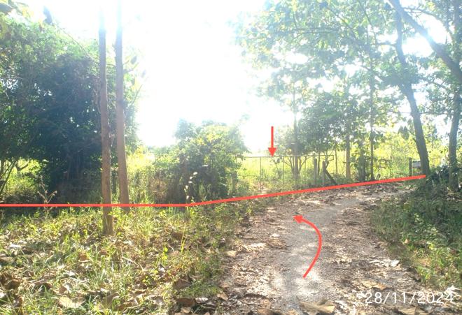 รูป ที่ดินว่างเปล่า สำหรับขาย - เตาปูน สอง แพร่ - รูปที่ 7/20