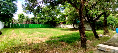 ที่ดิน ถนนบางนา - ตราด : Land for Sale – Windmill Park Village