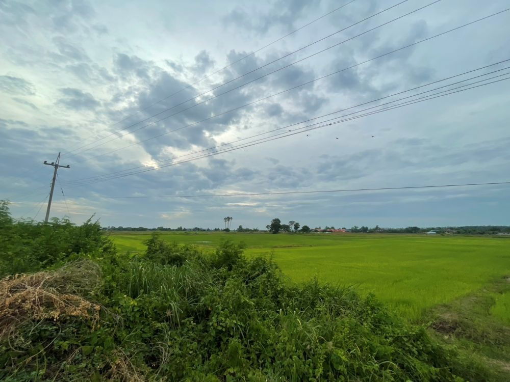 รูป ขายที่ดินเปล่า ขนาด 24 ไร่ ทำเลทอง บรรยากาศร่มรื่น ใกล้แหล่งชุมชน ต.หัวสำโรง ฉะเชิงเทรา - รูปที่ 15/15