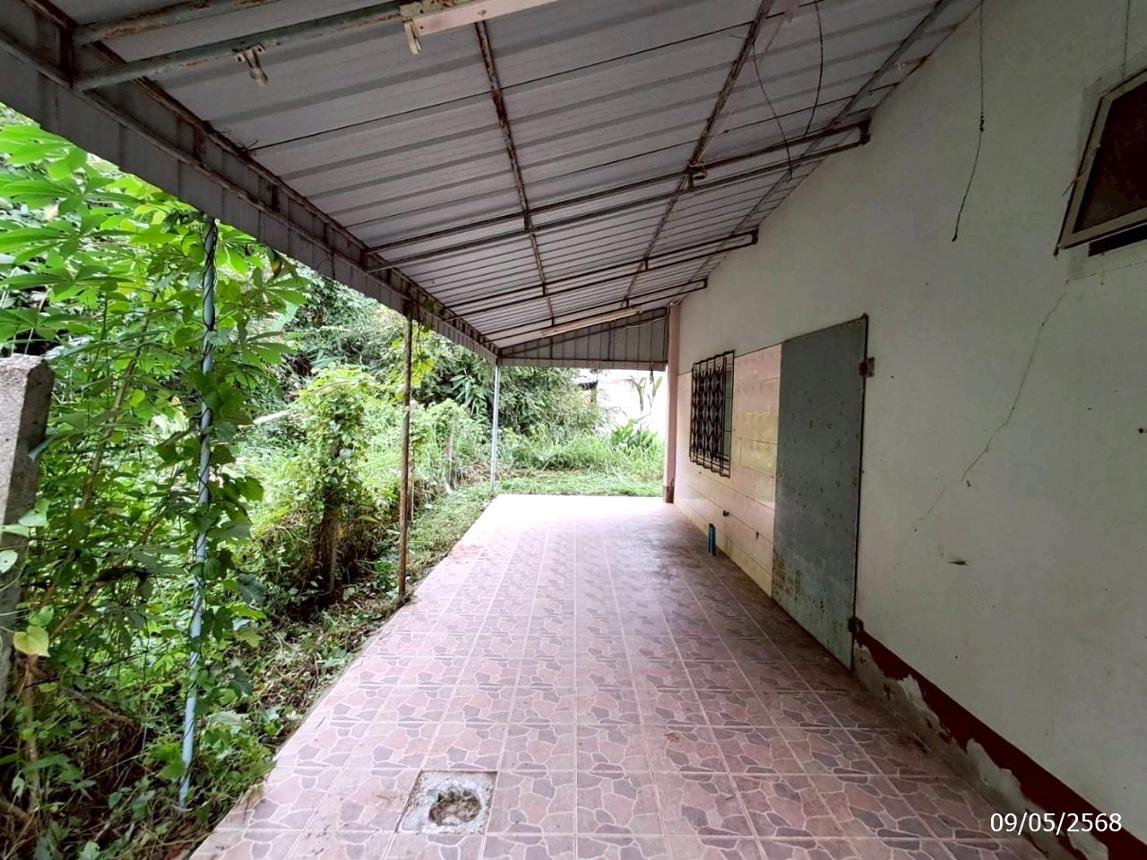 รูป บ้านเดี่ยว สำหรับขาย - วังมะปรางเหนือ วังวิเศษ ตรัง - รูปที่ 23/30