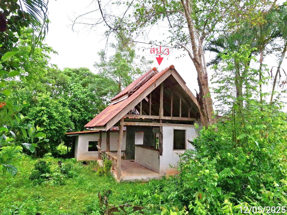 รูป บ้านเดี่ยว สำหรับขาย - วังมะปรางเหนือ วังวิเศษ ตรัง - รูปที่ 34/44