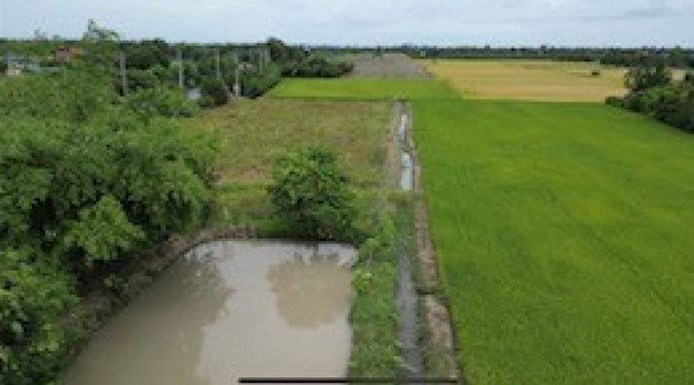 picture LAND for sale  Pho Phraya Muang Suphanburi Suphanburi - 11/14
