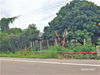 listing thumbnail image 29