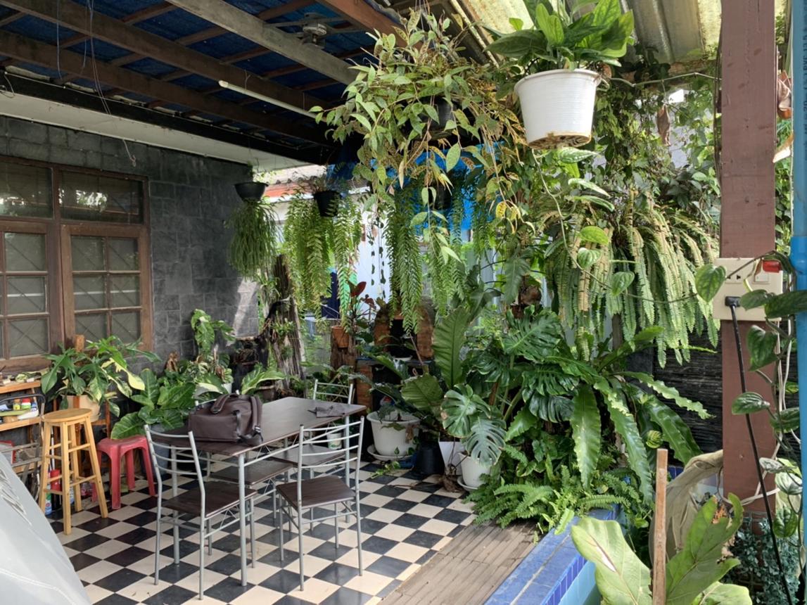 รูป บ้านเดี่ยว สำหรับขาย  ไร่ขิง สามพราน นครปฐม - รูปที่ 7/12