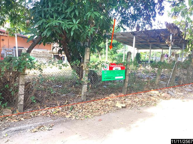 picture LAND for sale  Muang Mi Muang Nong Khai Nongkai - 2/14