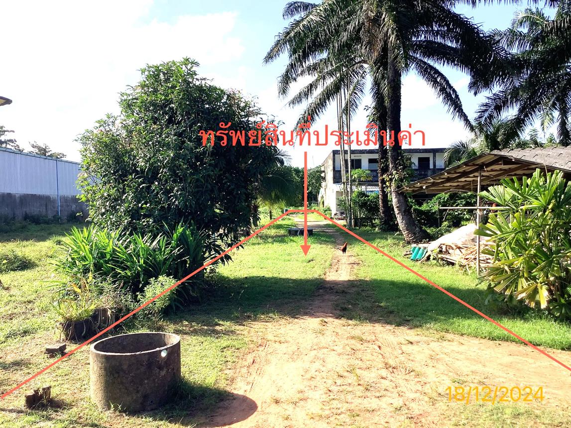 รูป บ้านเดี่ยว สำหรับขาย - เขาวิเศษ วังวิเศษ ตรัง - รูปที่ 24/30