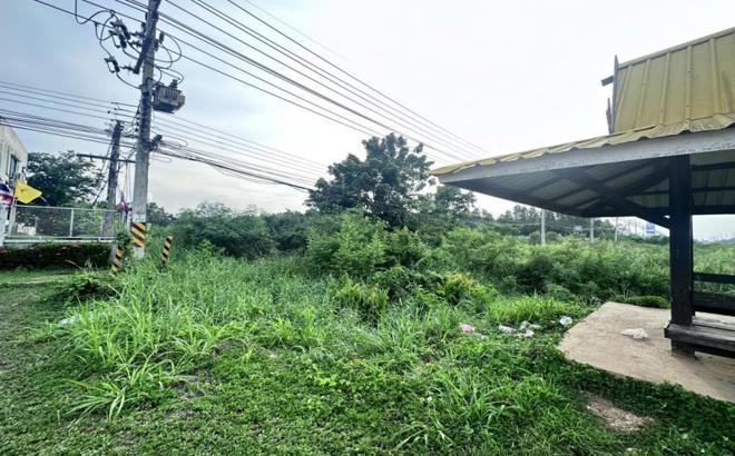 picture LAND for sale  Sa Kaeo Muang Sa Kaeo Srakaeo - 3/10
