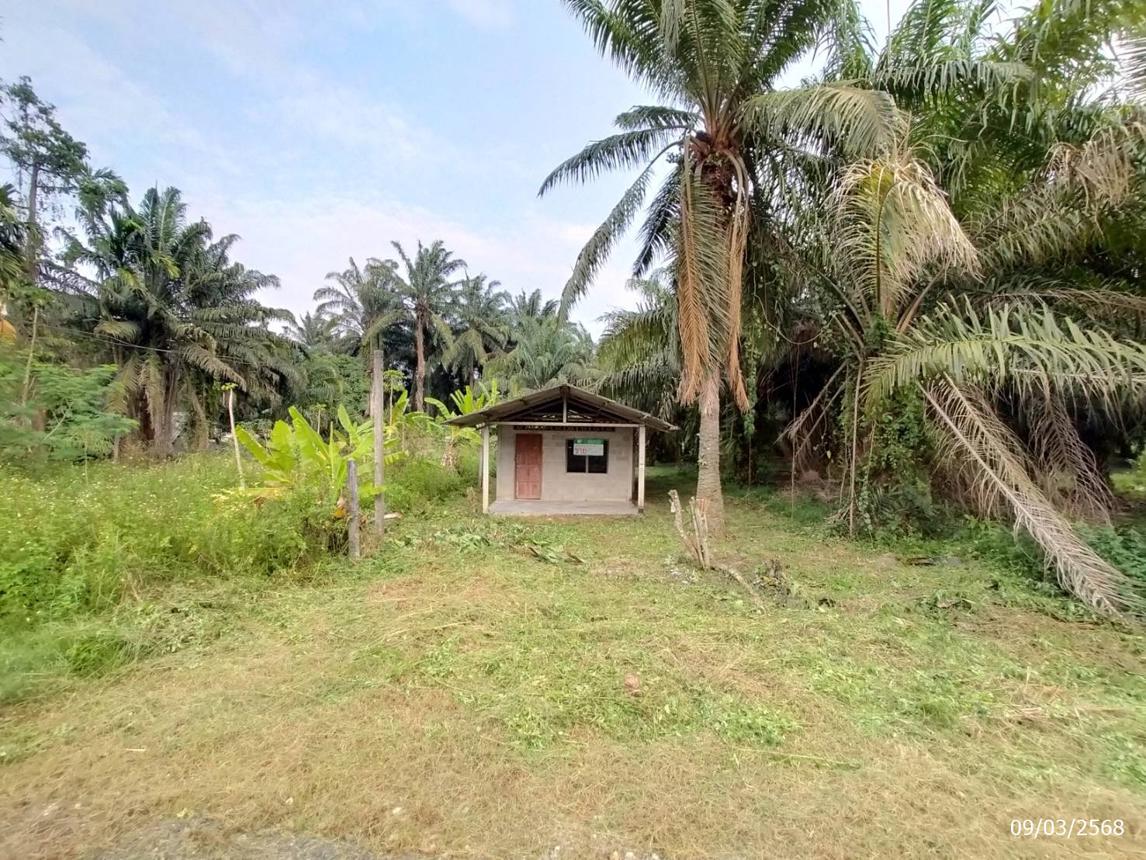 รูป บ้านเดี่ยว สำหรับขาย - เขาต่อ ปลายพระยา กระบี่ - รูปที่ 16/34