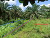 listing thumbnail image 15