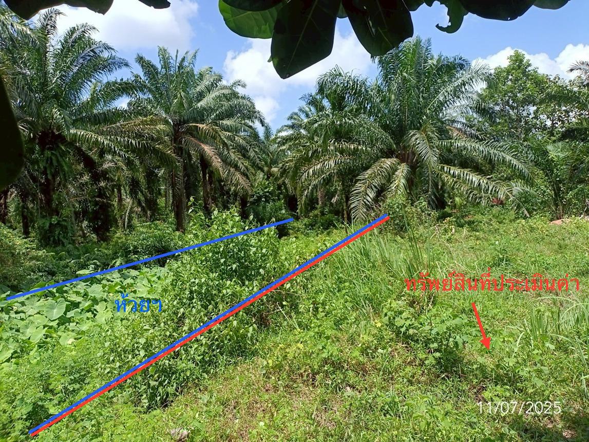 picture LAND for sale  Wang Maprang Nua Wang Wiset Trang - 16/24