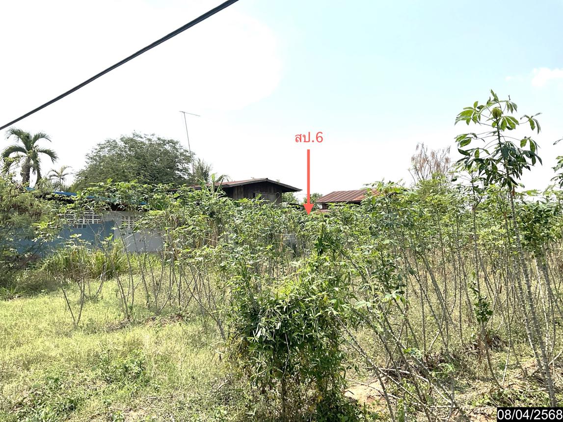 รูป บ้านเดี่ยว สำหรับขาย - หัวทะเล บำเหน็จณรงค์ ชัยภูมิ - รูปที่ 17/26