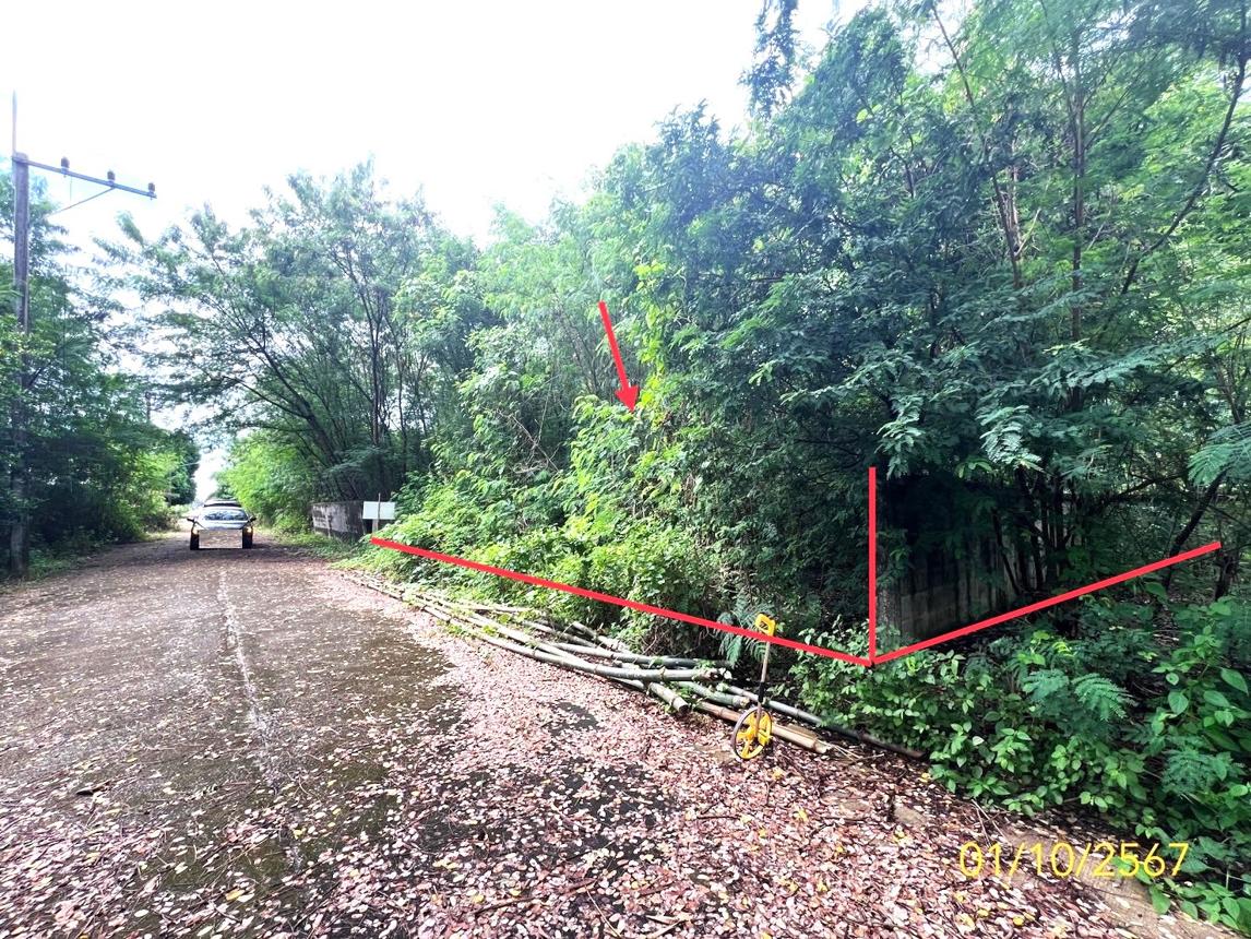 รูป ที่ดินว่างเปล่า สำหรับขาย - รังสิต ธัญบุรี ปทุมธานี - รูปที่ 10/18