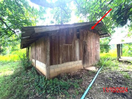 รูป บ้านเดี่ยว สำหรับขาย - หนองปลาสะวาย บ้านโฮ่ง ลำพูน - รูปที่ 27/30