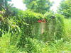 listing thumbnail image 21