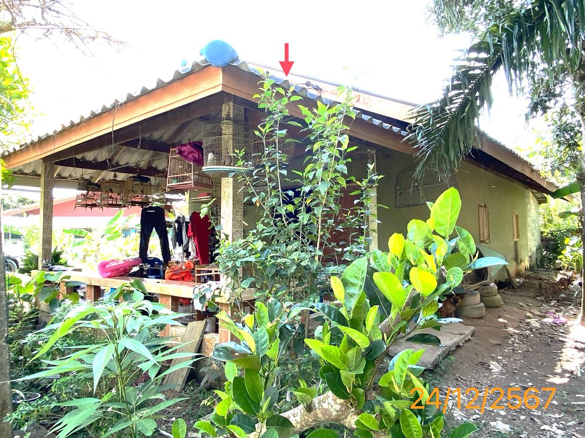 รูป บ้านเดี่ยว สำหรับขาย - ศาลาด่าน เกาะลันตา กระบี่ - รูปที่ 7/16