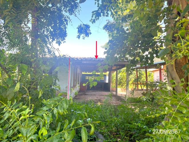 รูป บ้านเดี่ยว สำหรับขาย - ดงประคำ พรหมพิราม พิษณุโลก - รูปที่ 2/24