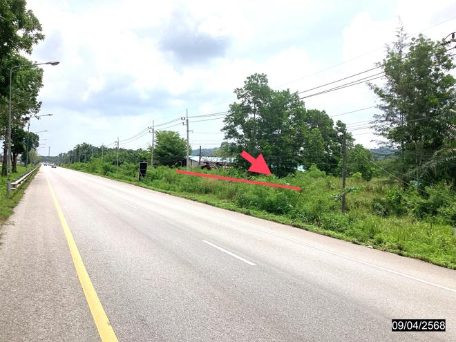 picture LAND for sale  Khron Sawi Chumphon - 3/18