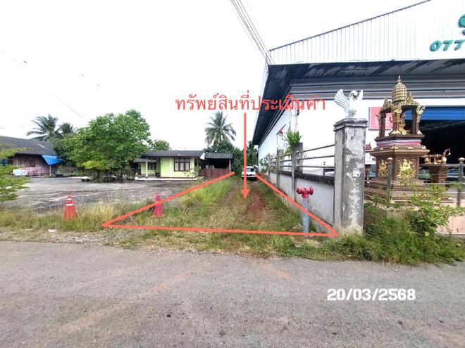 รูป บ้านเดี่ยว สำหรับขาย - มะขามเตี้ย เมืองสุราษฎร์ธานี สุราษฎร์ธานี - รูปที่ 13/34
