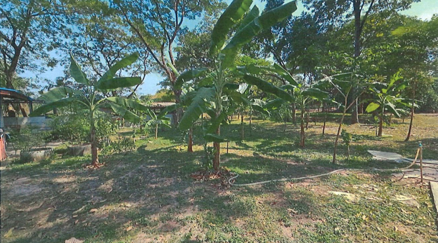 picture HOME for sale  Don Sai Pak Tho Ratchburi - 7/14