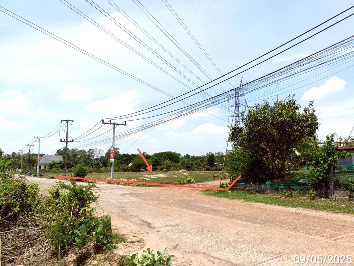 picture LAND for sale  Nua Muang Muang Roi Et Roi Et - 14/20