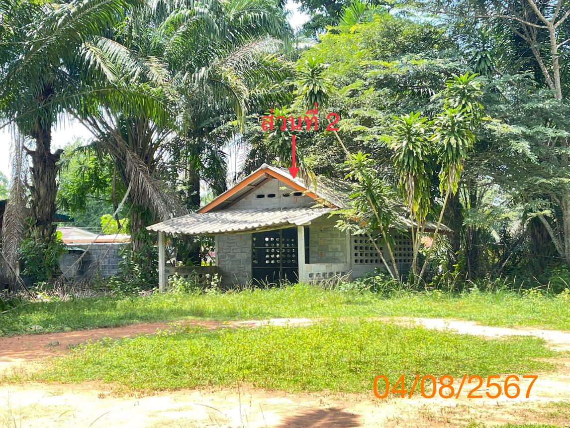 รูป บ้านเดี่ยว สำหรับขาย - คลองพน คลองท่อม กระบี่ - รูปที่ 15/24