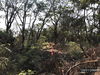 listing thumbnail image 14
