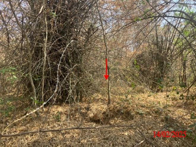picture LAND for sale  Phichai Muang Lampang Lamphang - 5/24