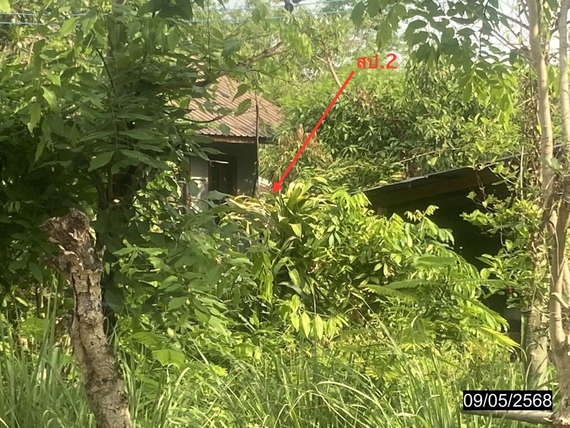 รูป บ้านเดี่ยว สำหรับขาย - ศรีสุทโธ บ้านดุง อุดรธานี - รูปที่ 11/20