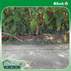 listing thumbnail image 17