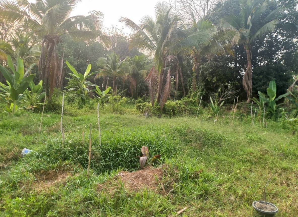 รูป บ้านเดี่ยว สำหรับขาย - ริมปิง เมืองลำพูน ลำพูน - รูปที่ 13/18