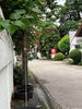 listing thumbnail image 11